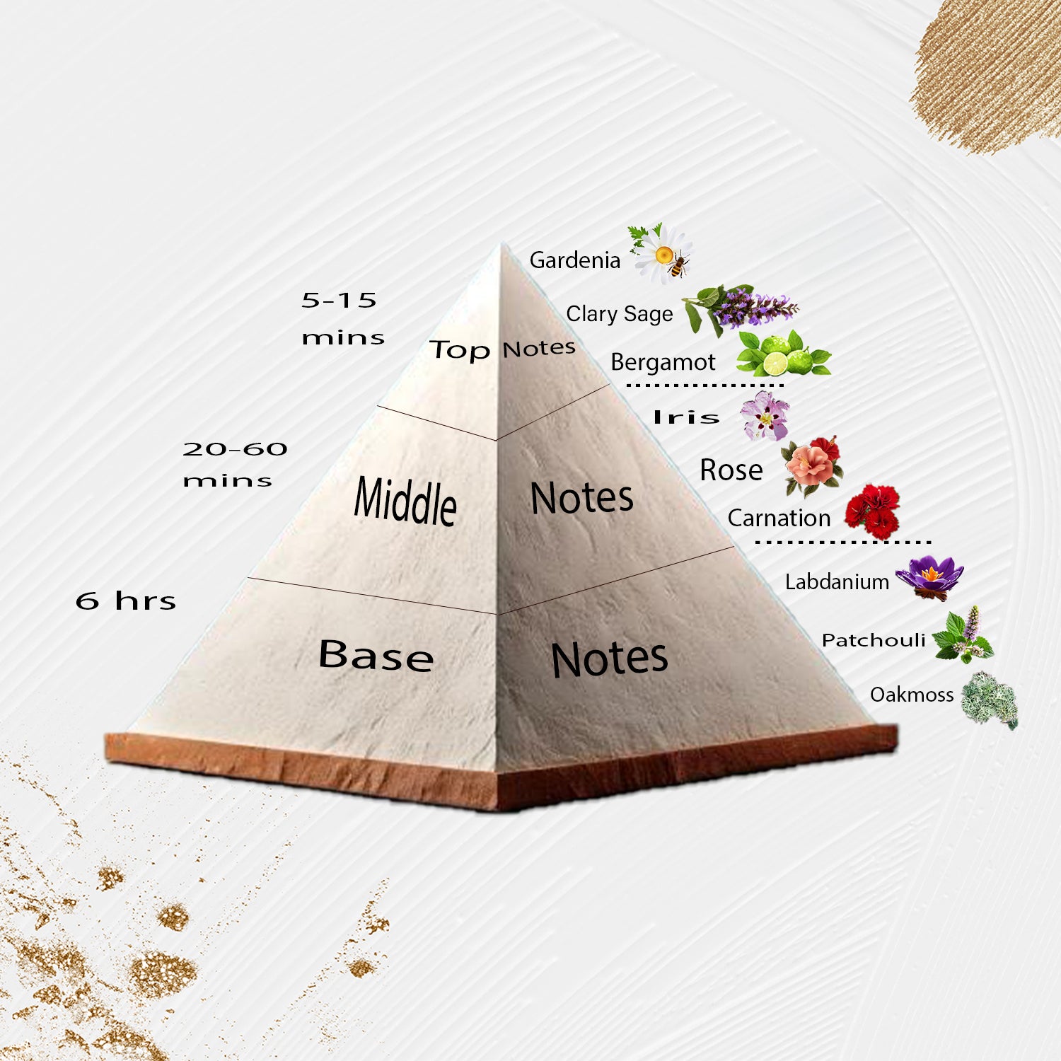 Scent Twin Miss D - 311 - Inspired by Miss Dior 1947