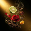 Oud Stars — 338