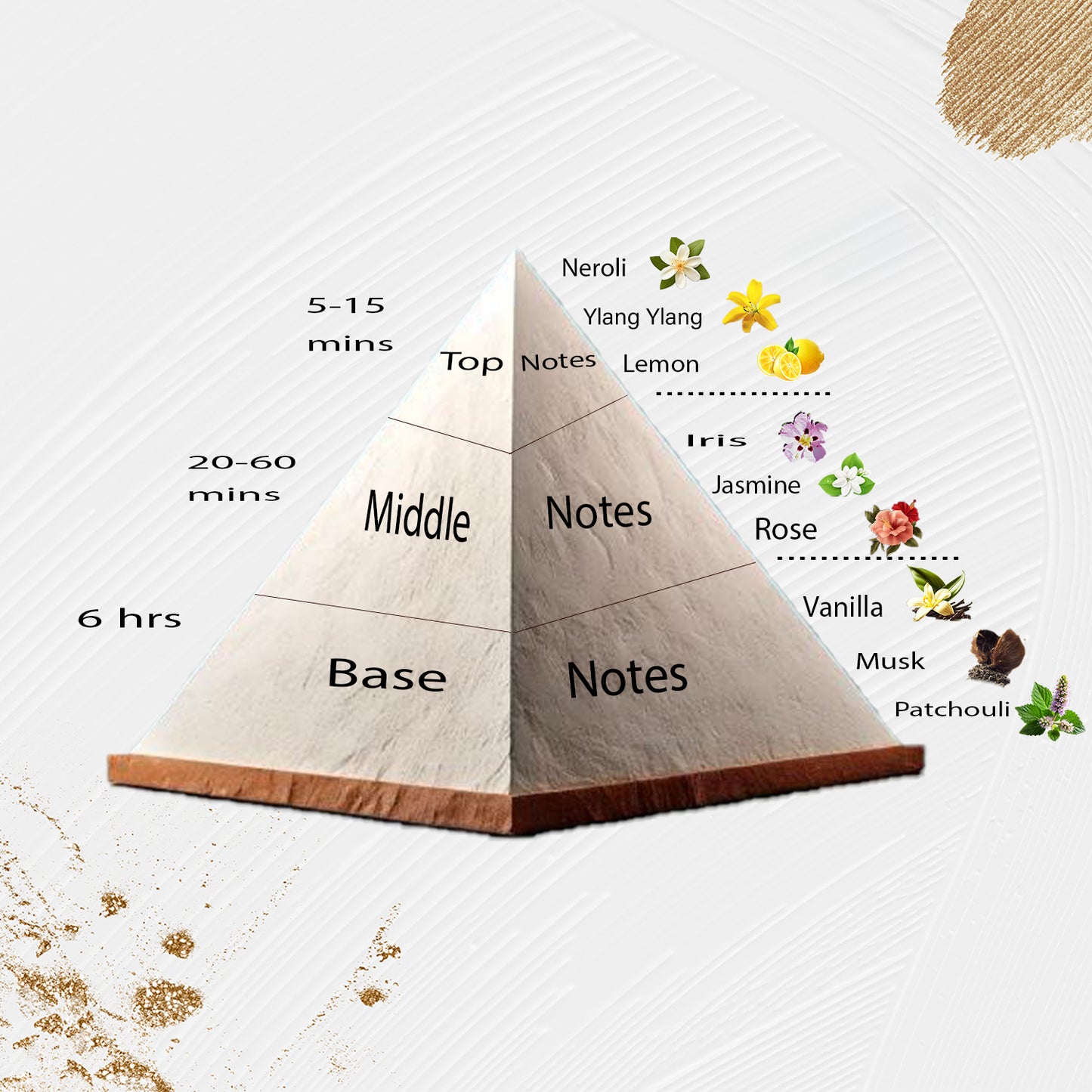 Scent Twin 305 - Inspired by Chanel 5